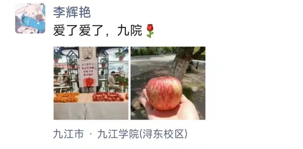 1652367995369023.jpg 6.jpg