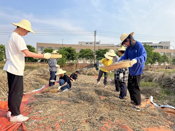 1653834404316704.jpg 3.jpg