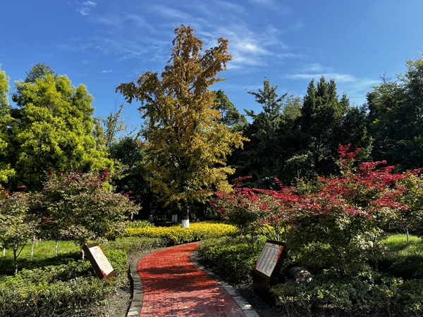 1665397951933242.jpg 1.jpg