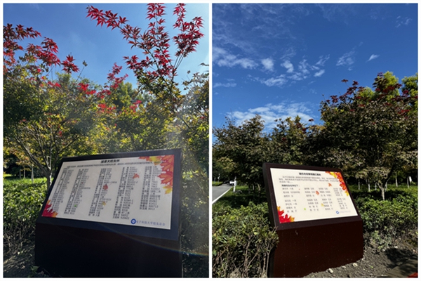 1665397967651105.jpg 2.jpg