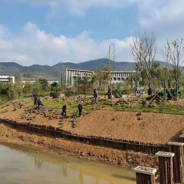 1666969644882624.jpg 江苏科技大学:创意融入绿化 校园景观出亮点.jpg