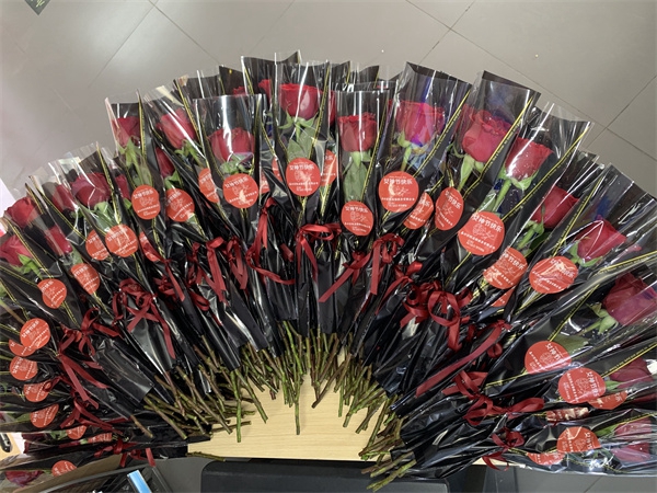 1680450298714673.jpg 4.jpg