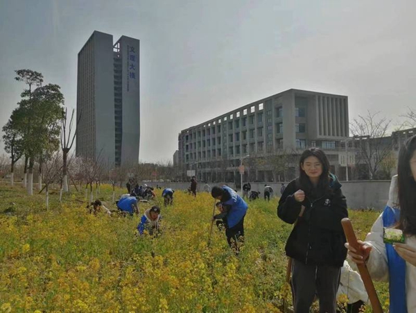 1681386497639699.jpg 江苏科技大学:在那油菜花盛开的地方.jpg