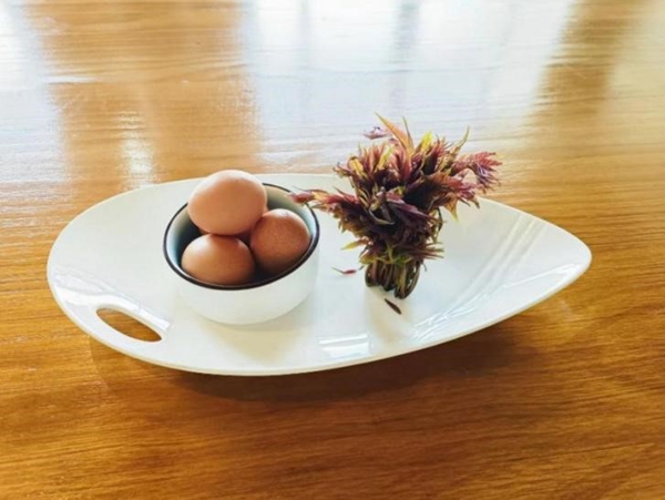 1681995979334897.jpg 2.jpg