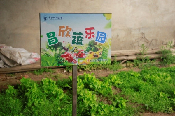 1681996440165931.jpg 1.jpg