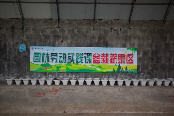 1681996452746912.jpg 2.jpg