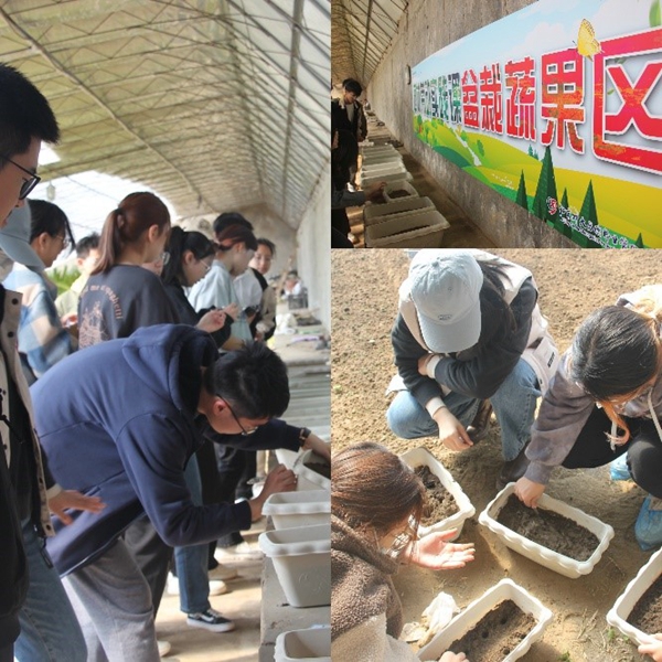 1681996477657297.jpg 3.jpg