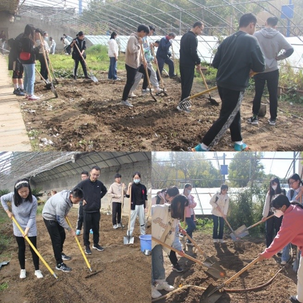 1681996495933486.jpg 4.jpg