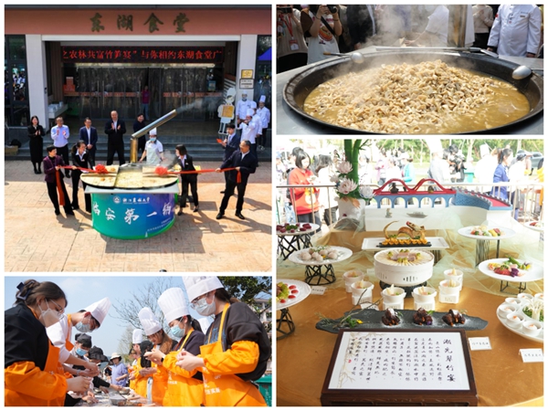 1682493264477418.jpg 2.jpg