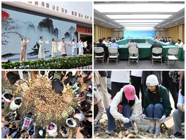 1682493264604301.jpg 3.jpg