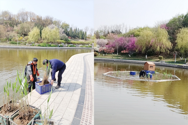 1685022296898316.jpg 图片3.jpg