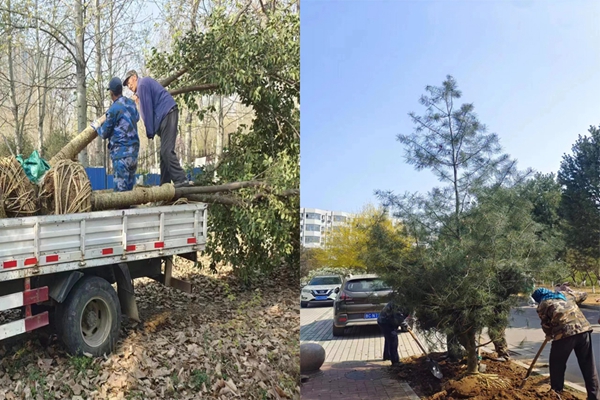 1685022361624544.jpg 图片6.jpg