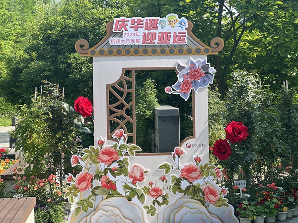 1686270200605128.jpg 1.jpg