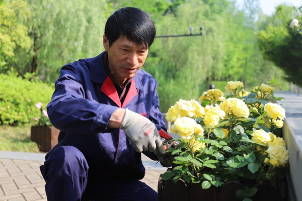 1686270228303261.jpg 3.jpg