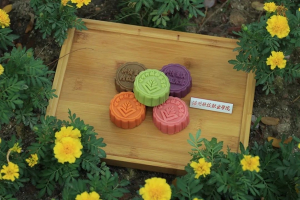 1695879803801924.jpg 1.jpg