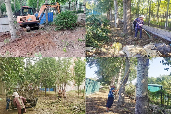 1697162590828689.jpg 林下可燃物清理.jpg