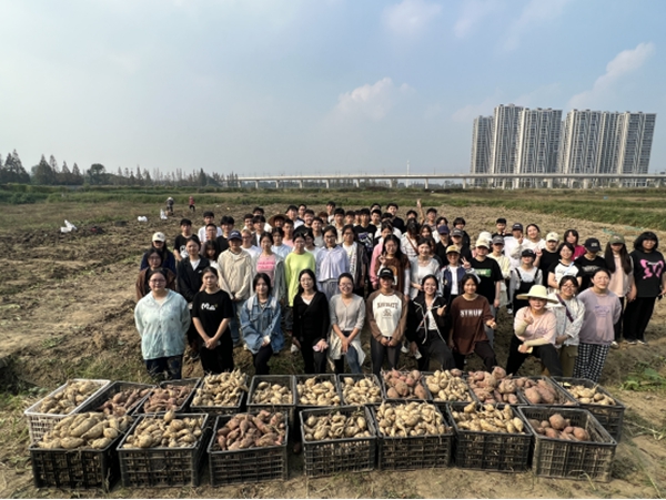 1698974464842722.jpg 5.jpg