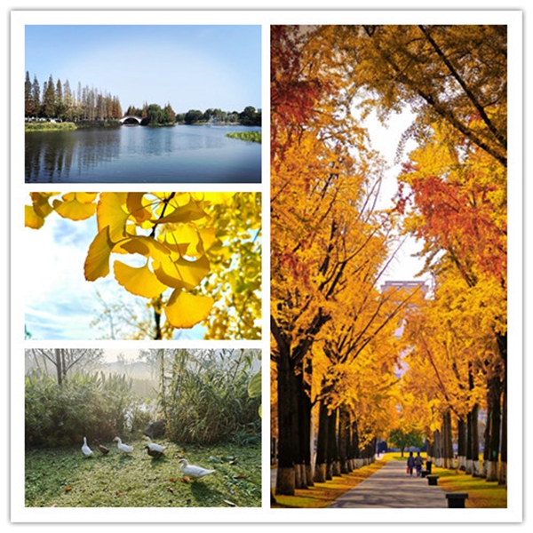 1703214234536418.jpg 1.jpg