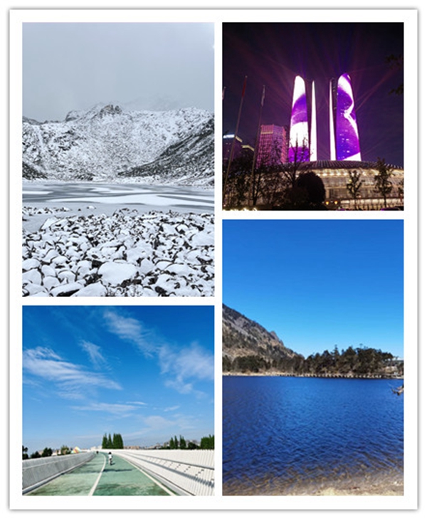 1703214244395288.jpg 2.jpg