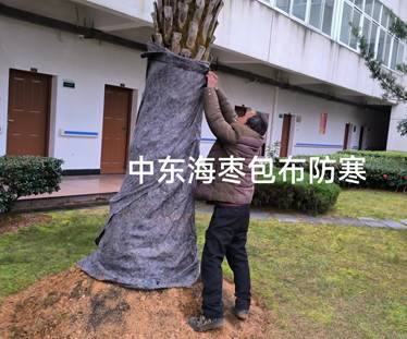 1708933791351500.jpg clip_image004.jpg