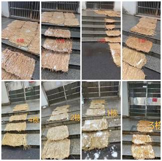 1708933828530179.jpg clip_image012.jpg