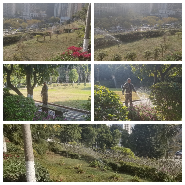 1709190188388015.jpg 浇灌.jpg