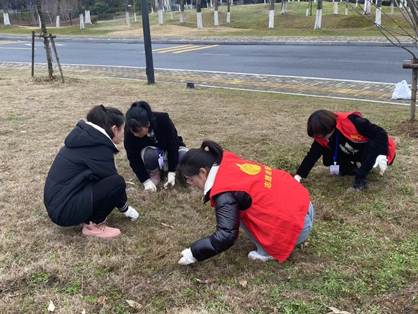 1710485633993832.jpg 图三.jpg