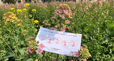 1710833222516677.jpg clip_image002.jpg