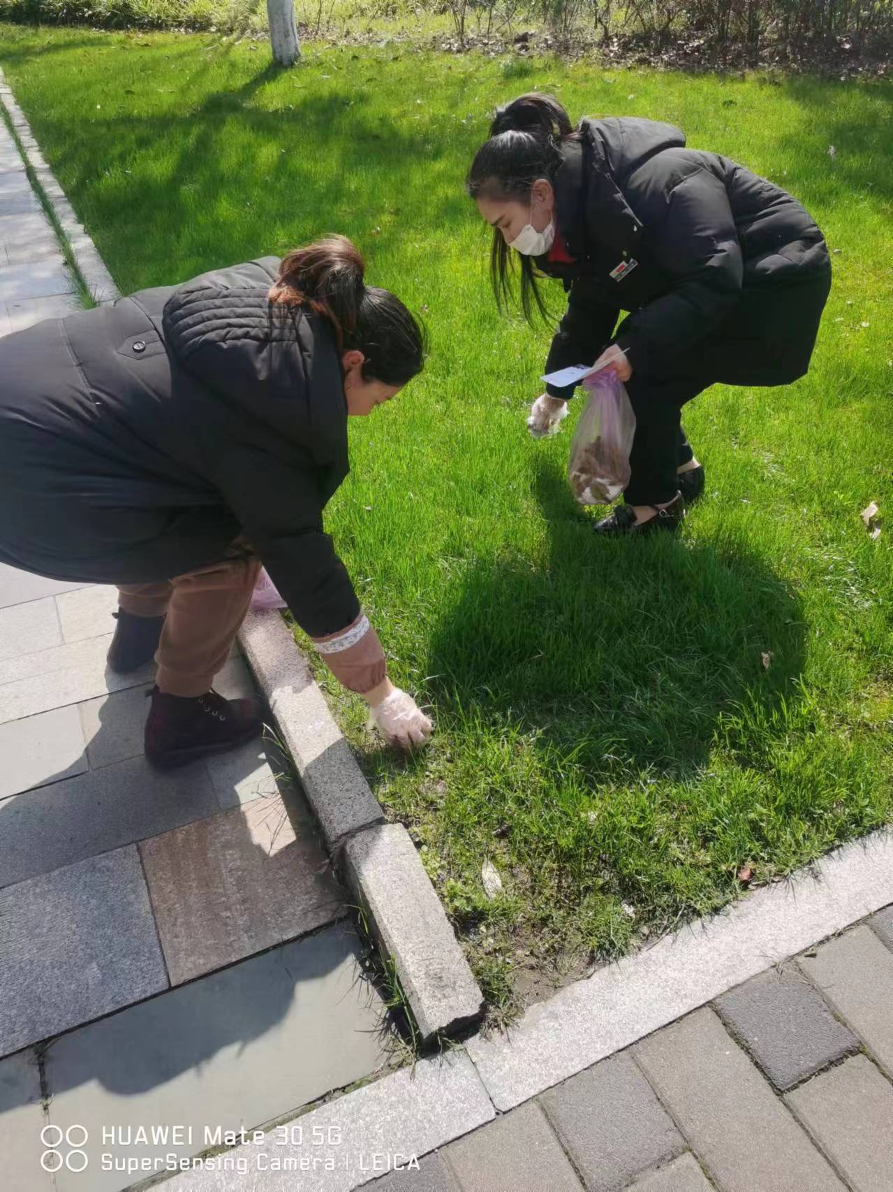 1710833429299739.jpg 1710833429299739.jpg