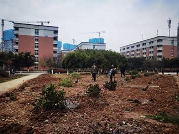 1711005471615457.jpg clip_image006.jpg