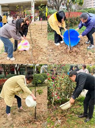 1711005553110622.jpg clip_image012.jpg