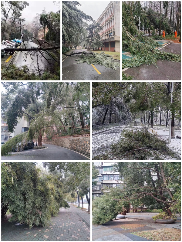 1711007560748019.jpg 图1.jpg