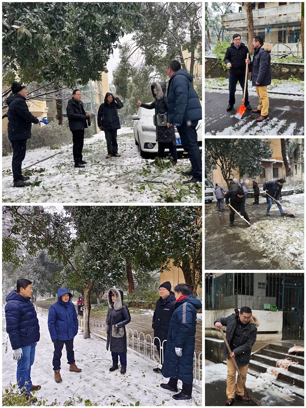 1711007596665068.jpg 图2.jpg