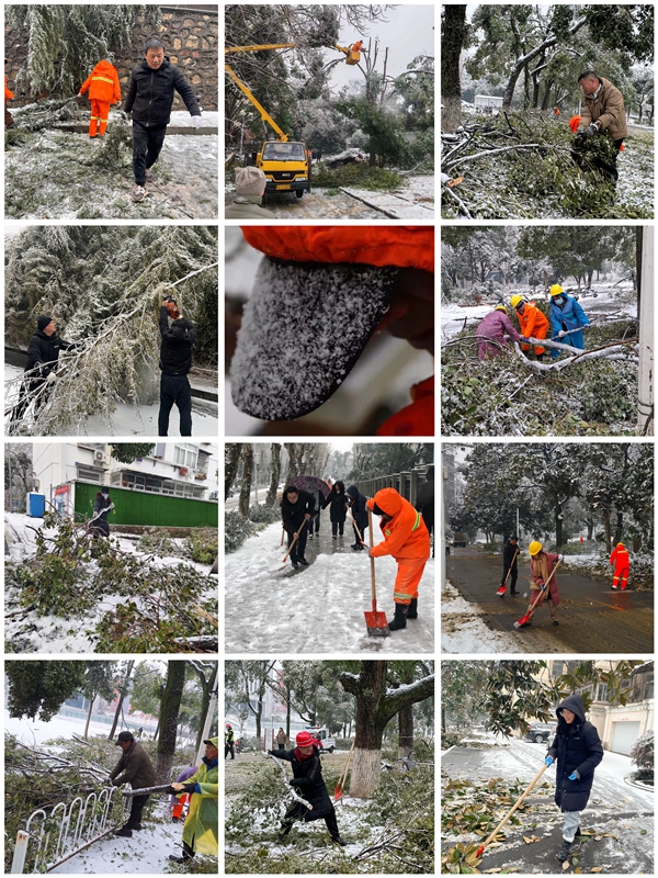 1711007617505739.jpg 图4.jpg