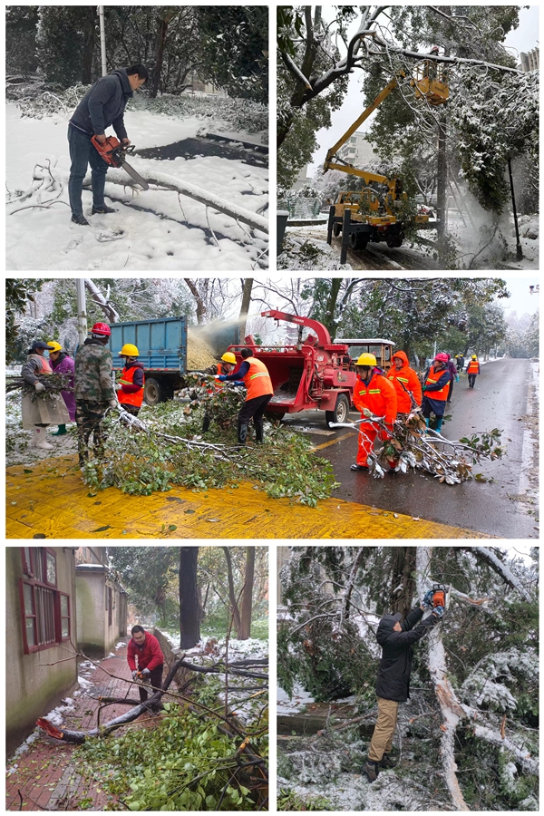 1711007640549534.jpg 图6.jpg