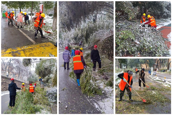 1711007658898056.jpg 图8.jpg