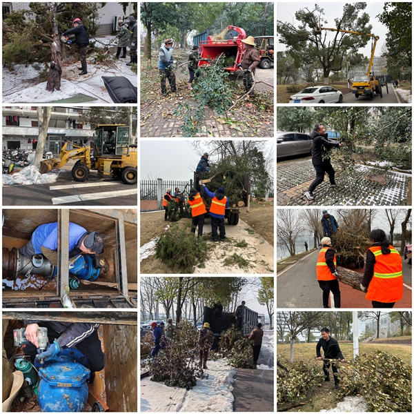 1711007757792151.jpg 图18.jpg