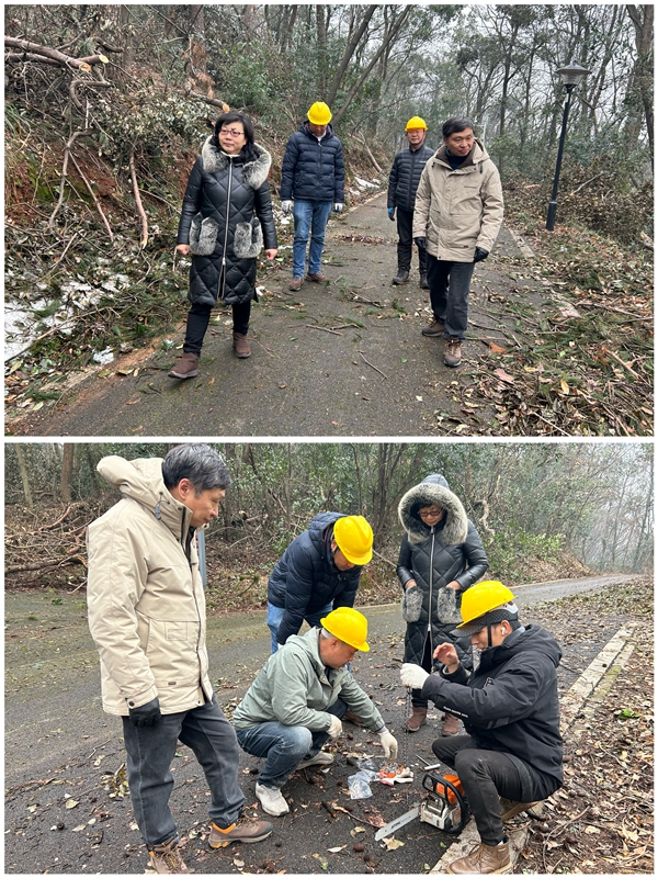 1711007764977627.jpg 图19.jpg