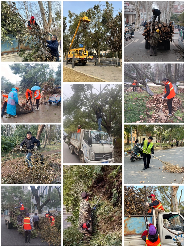 1711007786947750.jpg 图21.jpg