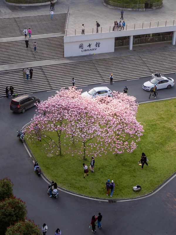 1711007919600765.jpg 图29.jpg