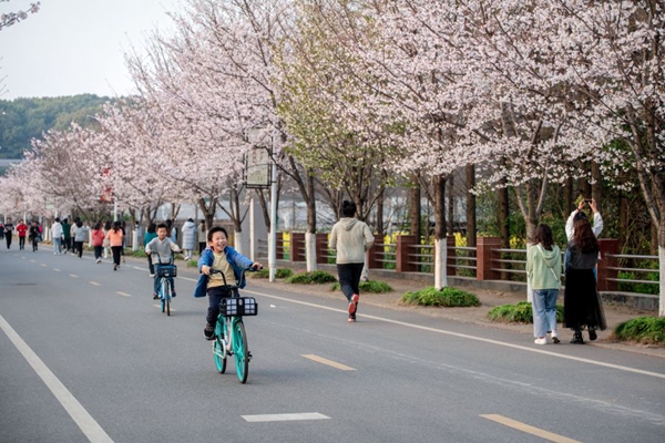 1711007944569947.jpg 图30.jpg