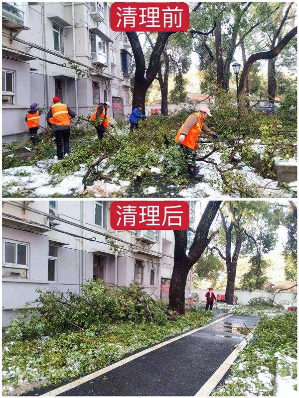 1711008016556778.jpg 图11.jpg