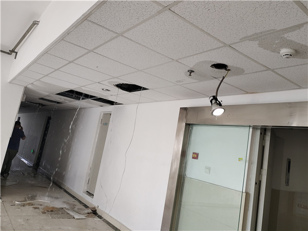 1728874501950416.jpg 1.jpg