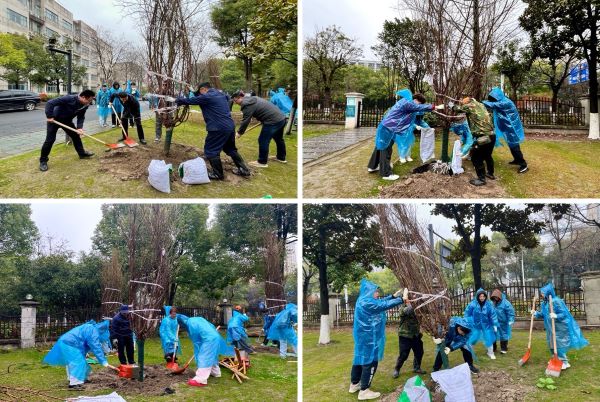 1742263807493794.jpg 图2.jpg