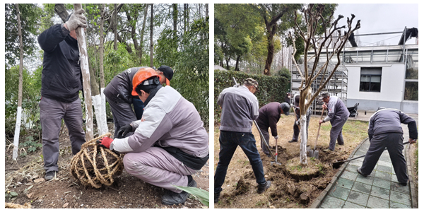 1743478574667748.jpg 光影魔术手拼图3.jpg