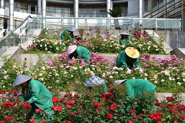 1746673476992862.jpg 图3.jpg