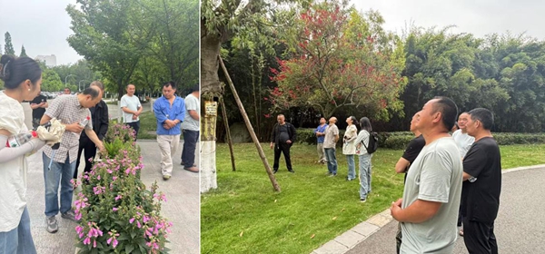 1748242776863283.jpg 光影魔术手拼图2.jpg