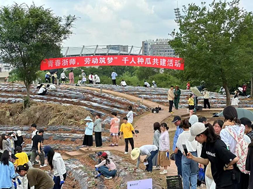 1748420435111616.png image003.png