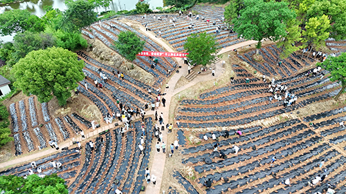 1748420436466714.png image001.png