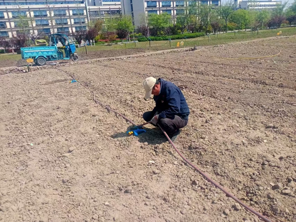 1750320182512968.jpg 1.jpg